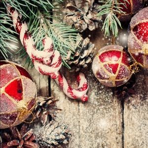 Meet your Posher, Ann